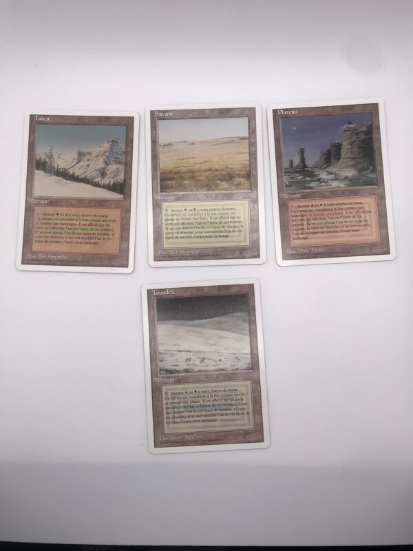 FWB French Dual Lands Bundle - Image 2